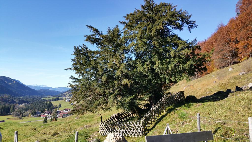 Gaestehaus Bergfrieden Bolsterlang Bagian luar foto